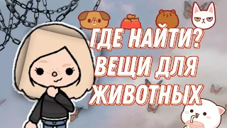 Где найти вещи для животных? 👀🤧💞 ///тока бока///