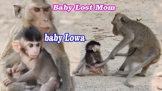 Cute baby lost mom, Gorgeous Lowa was take care by other before mom take bake | Adorable baby 2020