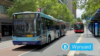 Transport for Sydney Vlog 379: Wynyard Buses