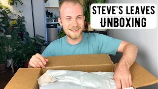 Unboxing Houseplants From Steve’s Leaves