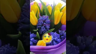 С добрым💕🍃🌸 весенним утром друзья! 🌿🌷🌞