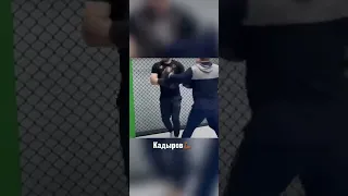 Кадыров бокс #кадыров #Кадыров тренировка #бокс #тренеровка