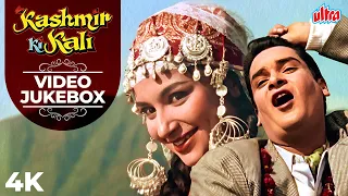 कश्मीर की कली 4K :  Evergreen Classic Jukebox | Shammi K, Sharmila Tagore | Mohd Rafi, Asha Bhosle