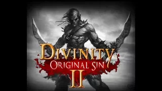 Divinity:Orginal Sin 2  - Building a Dual Bezerker v2