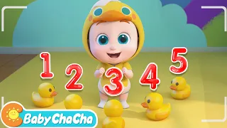 Five Little Ducks Went out One Day | Counting Ducks Song + Baby ChaCha Nursery Rhymes & Kids Songs