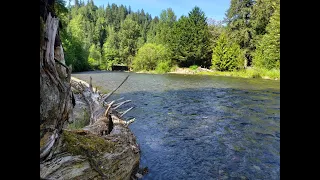 Rockhounding the Cedar River! Adventures and Discoveries!