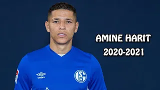 Amine Harit 2020-2021 - Best Dribbling Skills ,Goals & Assists - HD