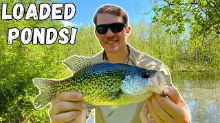 Fishing HIDDEN PONDS Loaded with CRAPPIE!