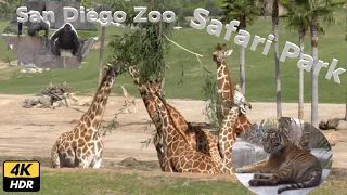 San Diego Zoo Safari Park - A rare opportunity to see the diverse wildlife of the African plains.