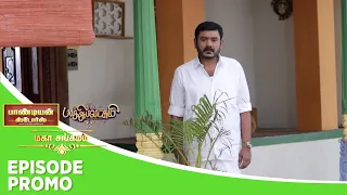 Pandian Stores Baakiyalakshmi | Mahasangamam | Episode Promo 2 | 30th Jan 2024