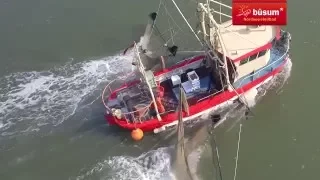 Nordsee-Heilbad Büsum: Krabben, Kutter, Kapitäne