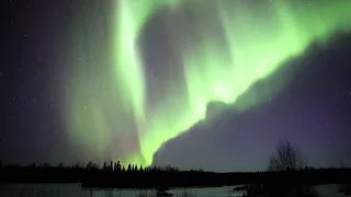 Aurora Borealis: Fairbanks, Alaska