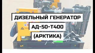 Дизельный генератор АД-50-Т400 (АРКТИКА)