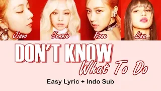 BLACKPINK - DON'T KNOW WHAT TO DO Easy Lyrics by GOMAWO [Indo Sub]