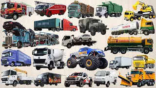 TRUCKS NAME Vehicles - Tổng hợp Xe Tải | Fire truck, Dump Truck, Monster truck, Garbage truck