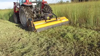 Managing Setaria dominant pasture using a Muthing 8 ft Low Body Mulcher