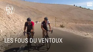 Rêve ou cauchemar de cyclistes amateurs : le Mont Ventoux