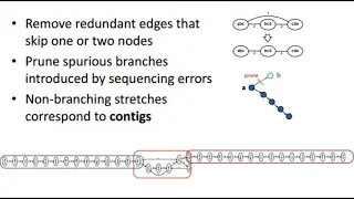 Overlap vs De-bruijn graphs | Genome assembly