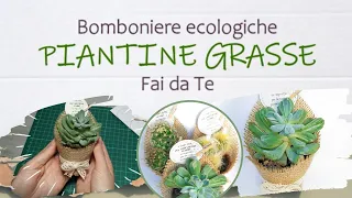 Piante grasse│BOMBONIERE ECOLOGICHE Fai da Te│TUTORIAL│i Quattro Elementi - Naturalis Solutio