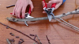 Testing Cheap V.S. Expensive Garden Pruners On AMAZON