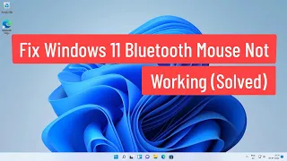 Fix Windows 11 Bluetooth Mouse Not Working (Solved)