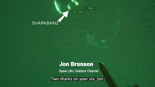 Sharkbanz Fishing - Spear Life - Jon Brunson & Coby Treasure - Spearfishing with Sharks