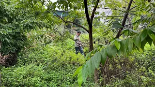 Eye-catching transformation Overgrown garden Clean up abandoned house