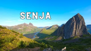 Hotspots auf SENJA | Das musst du gesehen haben! | Vanlife Norwegen