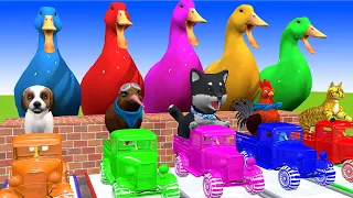 5 Giant Duck, Monkey, Piglet, chicken, Dog, Cat, Bird, sheep Transfiguration funny animal 2023