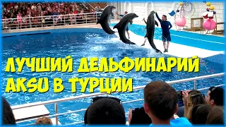 #5 vДельфинарий АКСУ - Dolphinarium Aksu