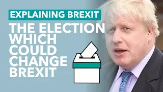 The By-Election That Could Shape Brexit - Brexit Explained