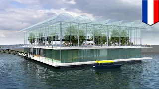 World's first floating dairy farm set to open - TomoNews