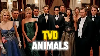Tvd | Animals edit