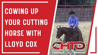 Cowing Up Your Cutting Horse With Lloyd Cox