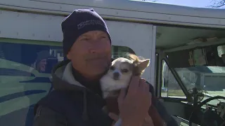 The story of a suburban postal worker and his unlikely friendship with a dog