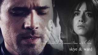 skye & ward || i wanted a connection with her (3x22)