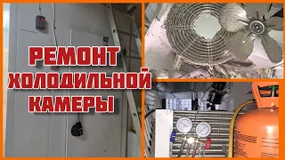 Ремонт холодильной камеры