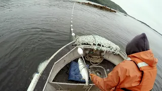 Salmon Subsistence Gillnetting in Alaska