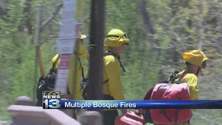 AFD responds to three separate Bosque fires