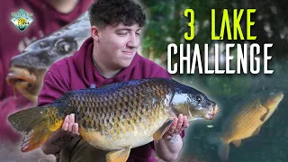 Catch A Carp From 3 Lakes In 24 Hours - Carp Fishing Challenge