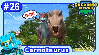 【GOGODINO S5】E26 Carnotaurus, Hunting Rookie | Dinosaurs for kids | Cartoon | Jurassic | Toys |Robot