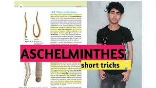 Aschelminthes examples trick!! phylum Aschelminthes!! Nematodes!!