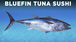 Bluefin Tuna Sushi