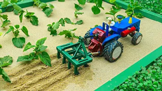 Diy Mini Making Grapes Plants | Mini Tractor machine | Science Project |@NiceCreator2