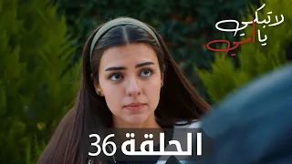 مسلسل لا تبكي يا أمي | الحلقة 36