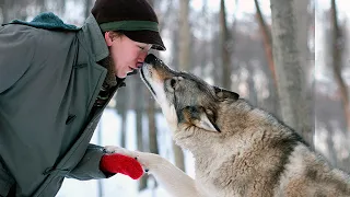 Он вырастил щенка не зная что это опасный хищник.