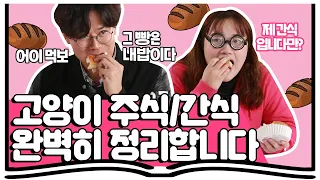 고양이 뭘 얼마나 어떻게 먹여야 하는지 헷갈렸던 집사님들 주목! EP.14 [집사의 정석]