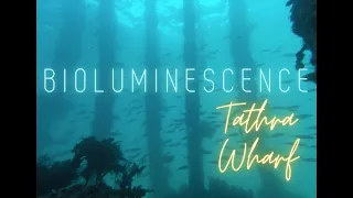 Bioluminescence