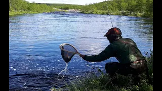 På loffen i Finnmark  Del III   Farvel