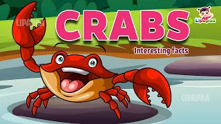 True Facts: Incredible Crab Stories | Lipapaa | Crab Information